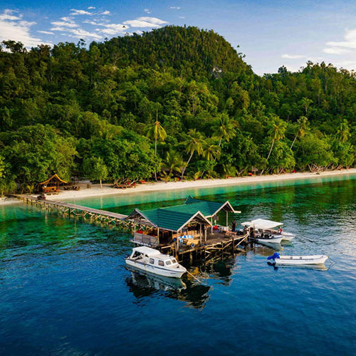 Raja Ampat Biodiversity